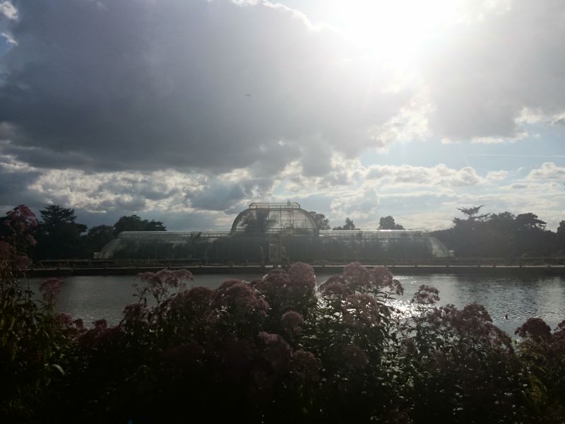 Viewing photos→Misc→2014→47