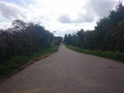 57.jpg - 2014:08:30 12:04:56