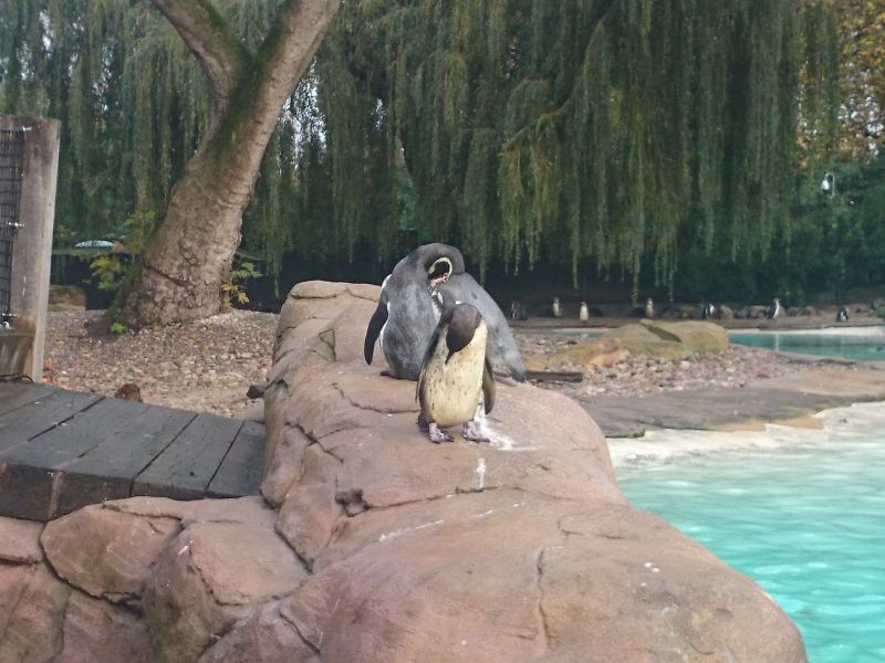 Viewing photos→Misc→2014→76