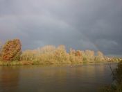 79.jpg - 2014:11:18 10:02:27