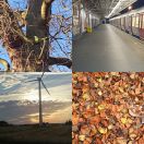 2015<br/>
<b>2015 pictures</b>
