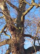 001.jpg - 2015:01:19 14:30:48