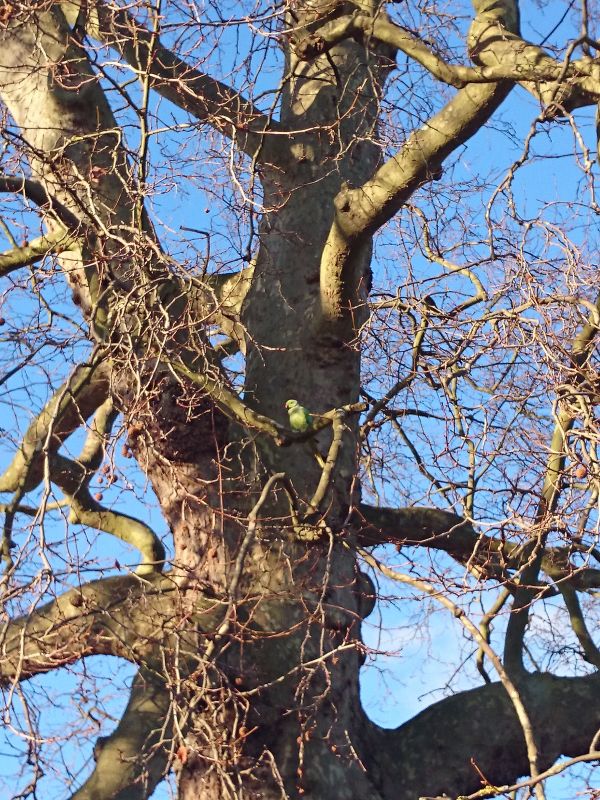 Viewing photos→Misc→2015→001