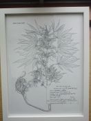 007.jpg - 2015:02:13 13:53:30