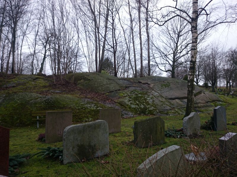 Viewing photos→Misc→2015→012