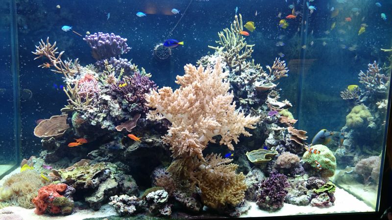 Viewing photos→Misc→2015→016