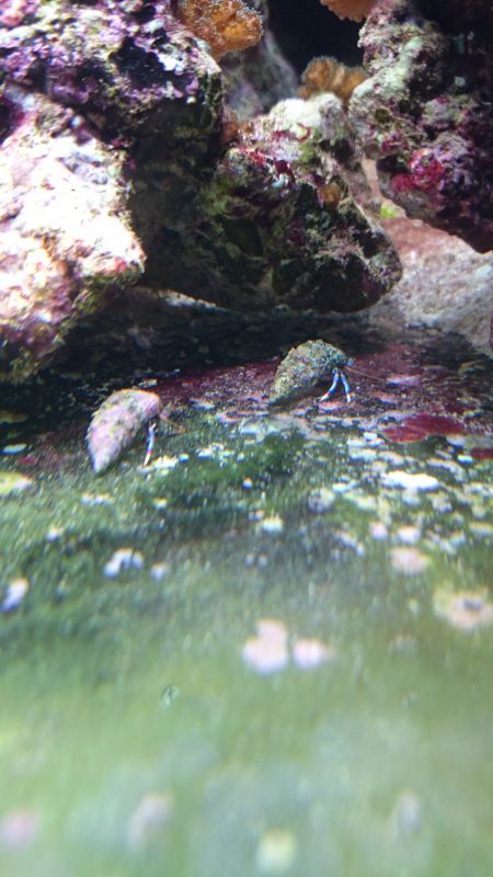 Viewing photos→Misc→2015→020