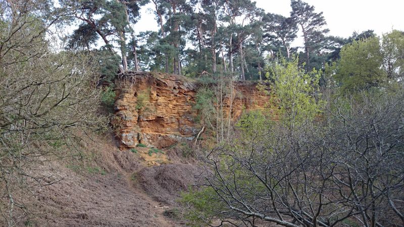 Viewing photos→Misc→2015→030