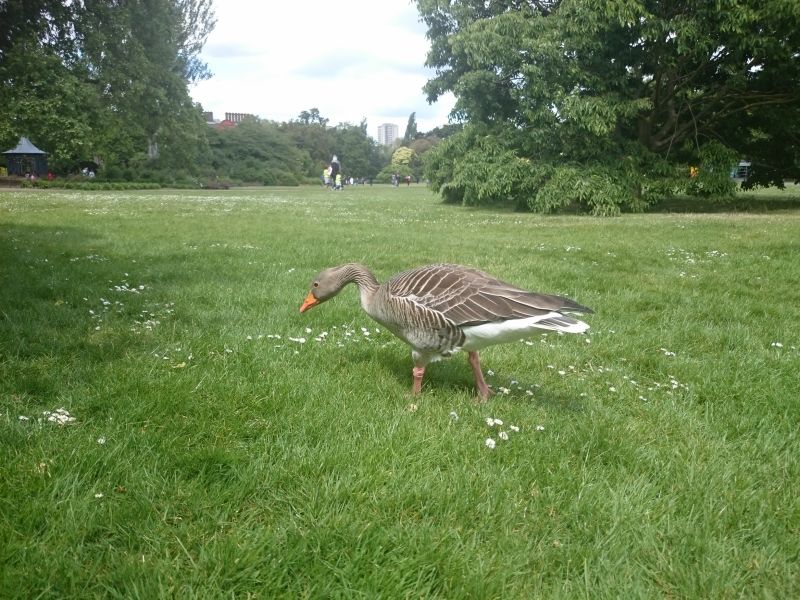 Viewing photos→Misc→2015→048