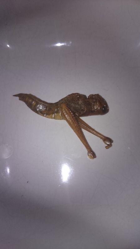 Viewing photos→Misc→2015→053