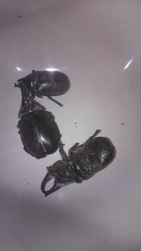 Viewing photos→Misc→2015→054