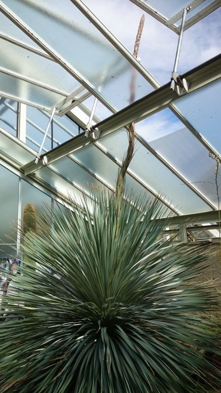 Viewing photos→Misc→2015→077