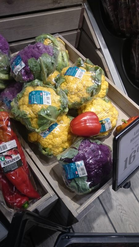 Viewing photos→Misc→2015→098