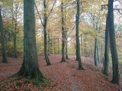 131.jpg - 2015:11:01 12:49:49