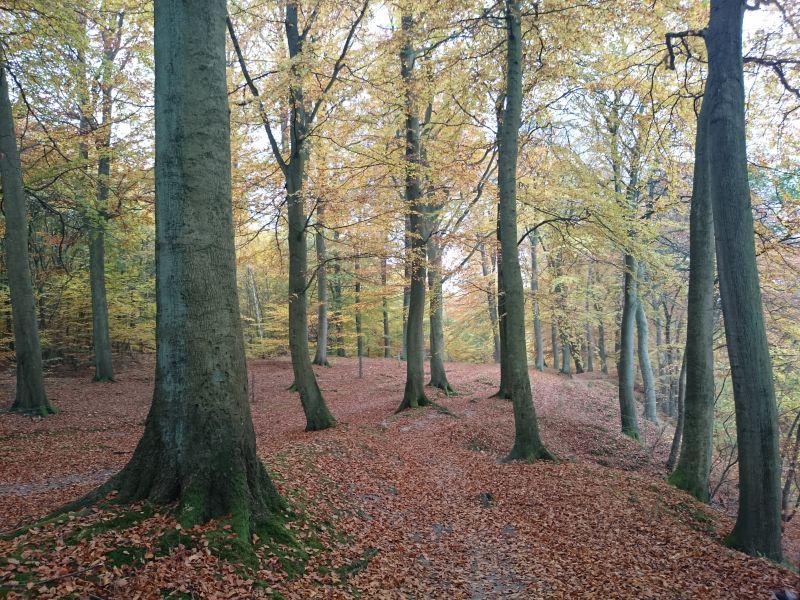 Viewing photos→Misc→2015→131