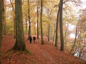 132.jpg - 2015:11:01 12:51:00