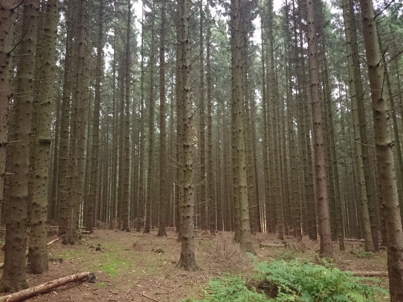 Viewing photos→Misc→2015→135