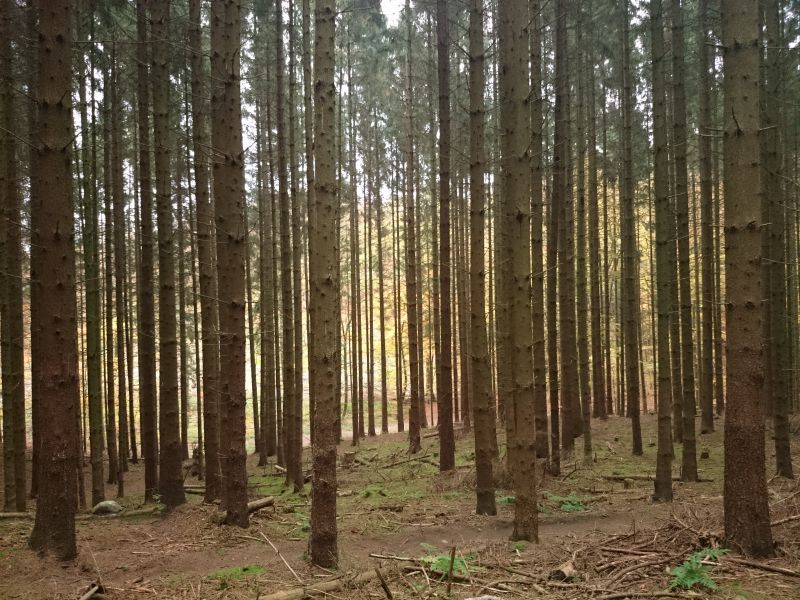 Viewing photos→Misc→2015→137