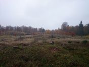 139.jpg - 2015:11:01 13:50:35