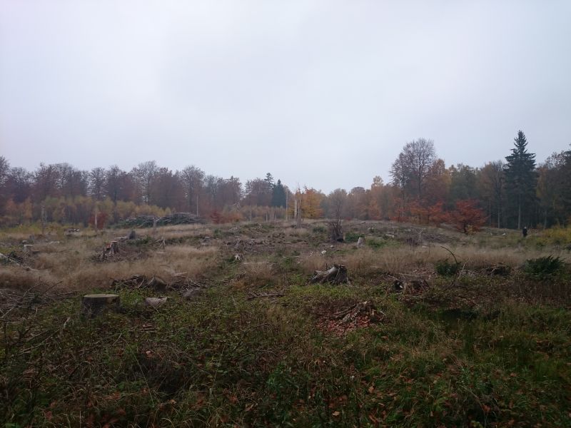 Viewing photos→Misc→2015→139