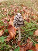 140.jpg - 2015:11:01 13:56:27