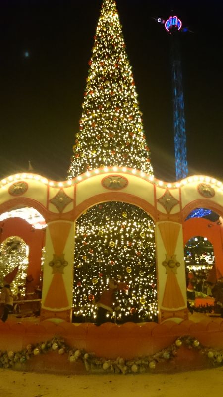 Viewing photos→Misc→2015→161