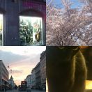 2016<br/>
<b>2016 pictures</b>
