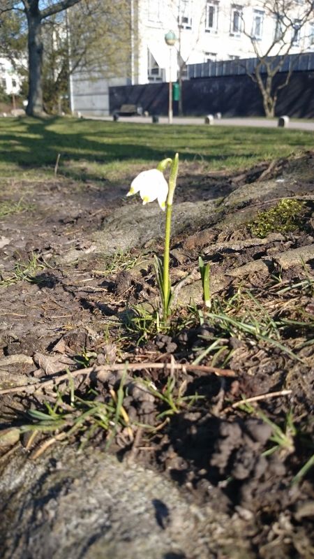 Viewing photos→Misc→2016→016