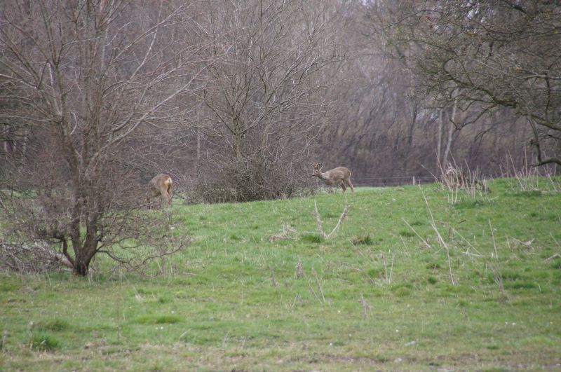 Viewing photos→Misc→2016→036