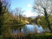 038.jpg - 2016:04:22 18:25:41