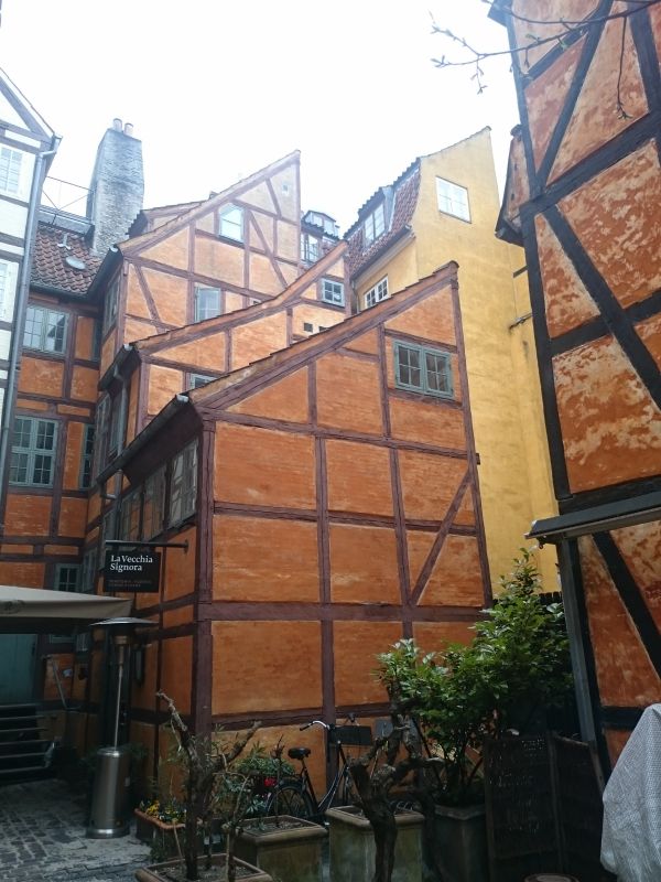 Viewing photos→Misc→2016→039