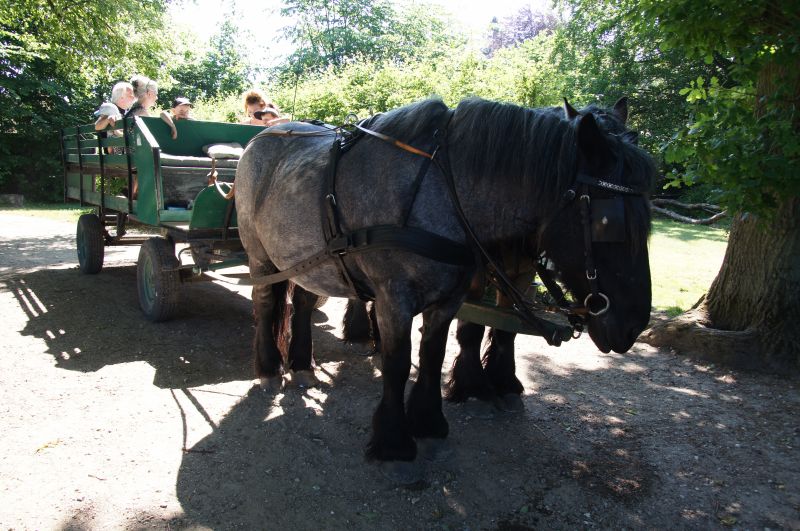 Viewing photos→Misc→2016→073