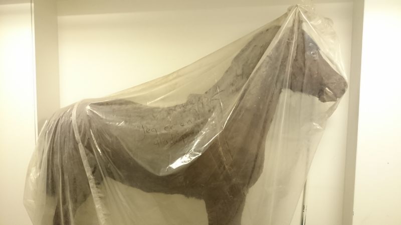 Viewing photos→Misc→2016→107