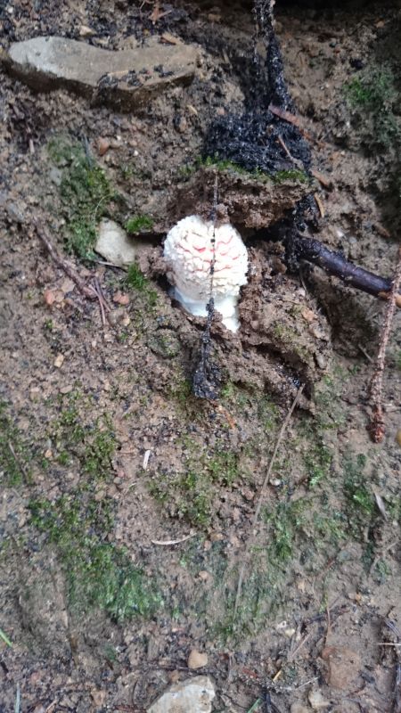 Viewing photos→Misc→2016→132