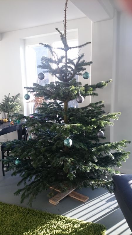 Viewing photos→Misc→2016→161