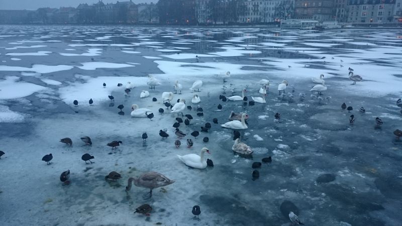 Viewing photos→Misc→2017→002