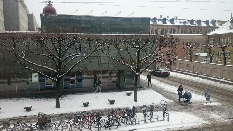 Viewing photos→Misc→2017→006