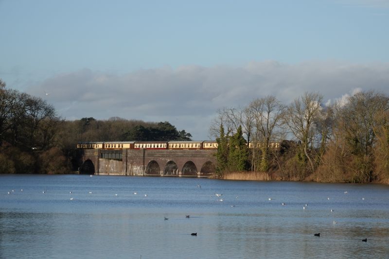 Viewing photos→Misc→2017→099