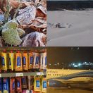 2018<br/>
<b>2018 pictures</b>
