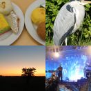 2019<br/>
<b>2019 pictures</b>
