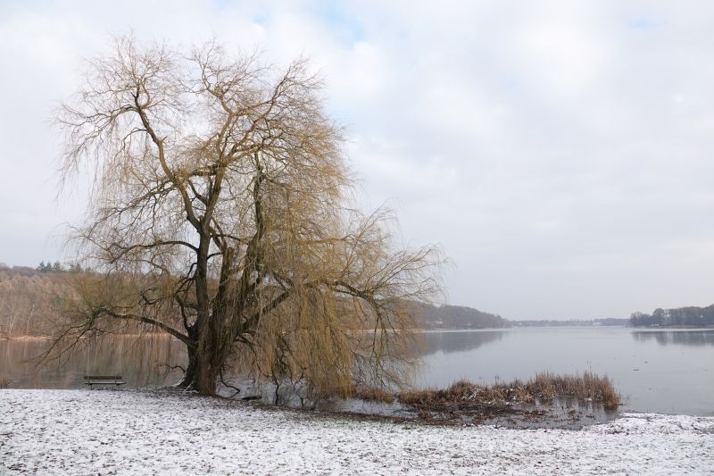 Viewing photos→Misc→2019→008