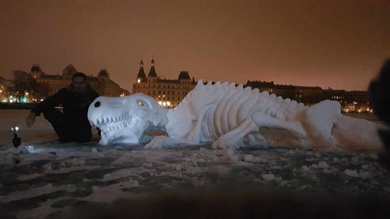 Viewing photos→Misc→2019→013