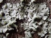 037.jpg - 2019:05:01 16:52:50