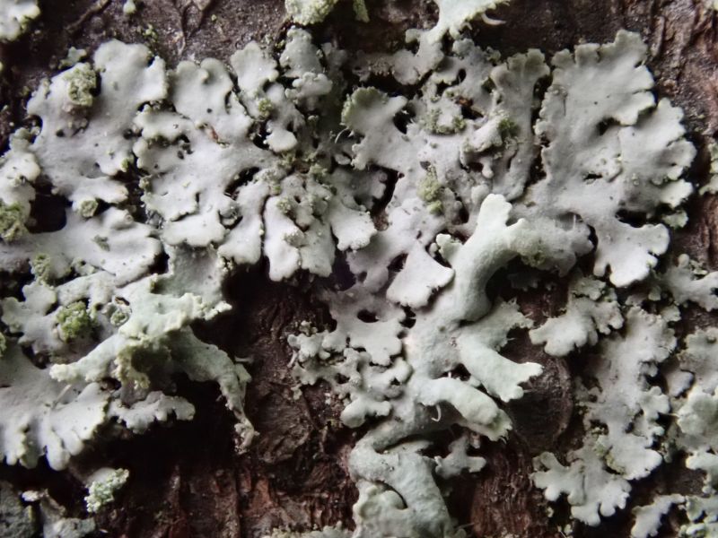 Viewing photos→Misc→2019→037