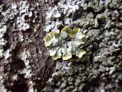 038.jpg - 2019:05:01 16:53:40