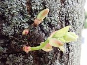 039.jpg - 2019:05:01 16:54:53