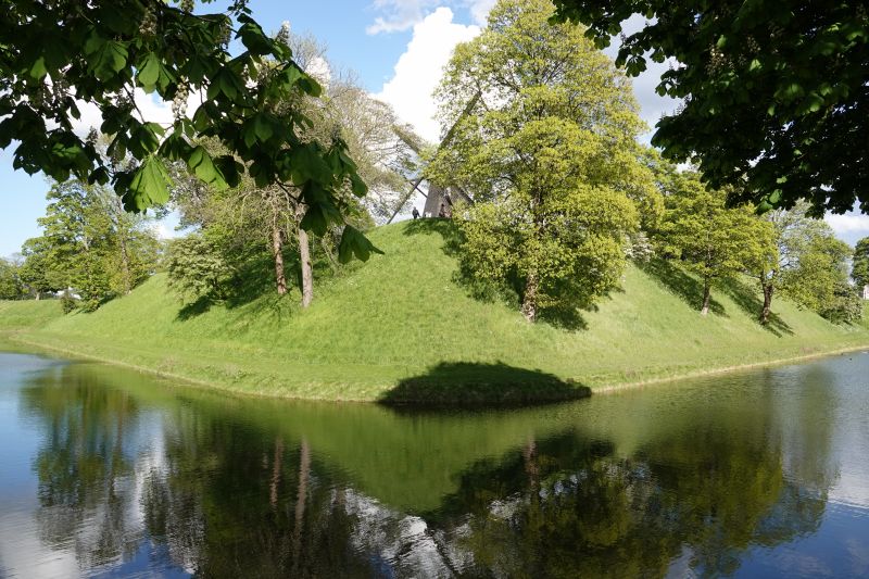 Viewing photos→Misc→2019→047