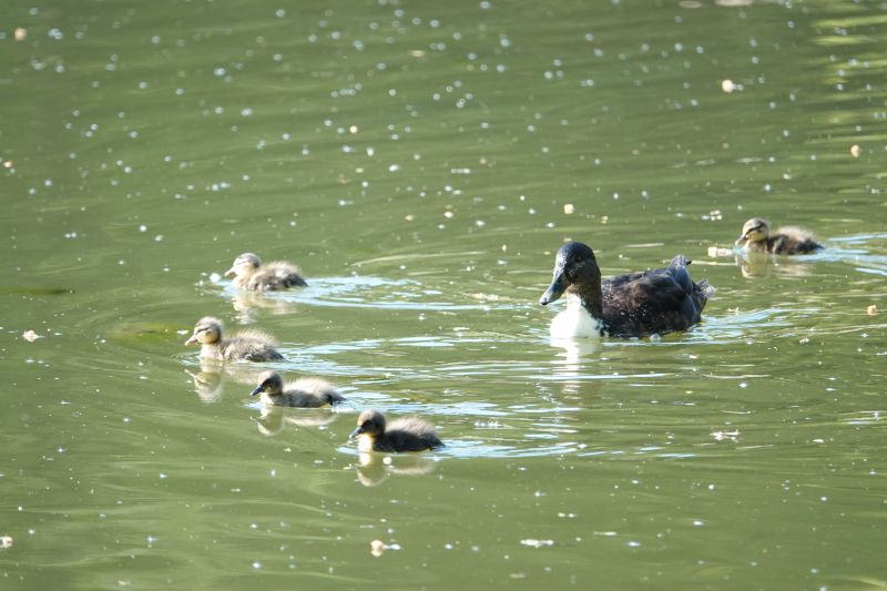 Viewing photos→Misc→2019→053