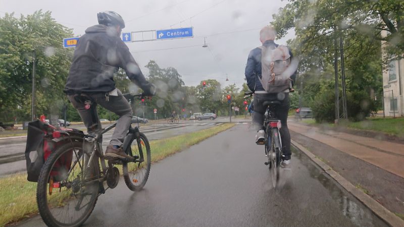 Viewing photos→Misc→2019→071