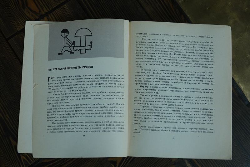 Viewing photos→Misc→2019→102